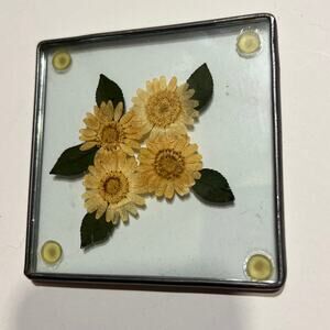 1 Sunflowers cluster Real Pressed Flowers Coaster square Metal Glass Decor drink